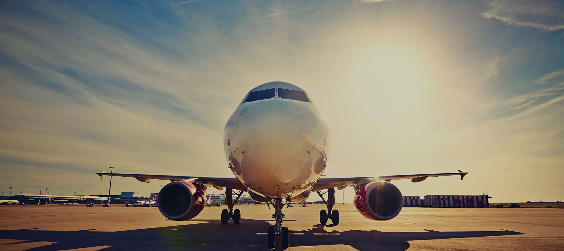 International Air Cargo